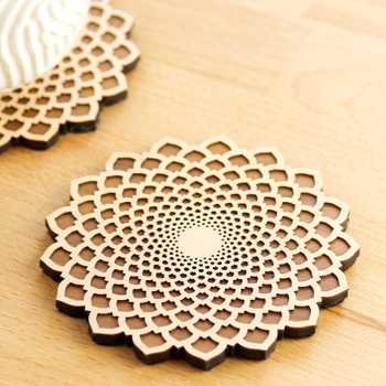 Succulent Coasters